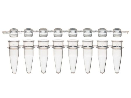 0.2mL 8-Strip Tubes, with Separate 8-Strip clear Dome caps, Natural Online